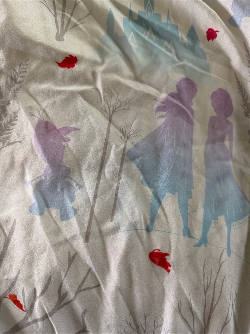 Frozen sheets - Picture 3 of 4